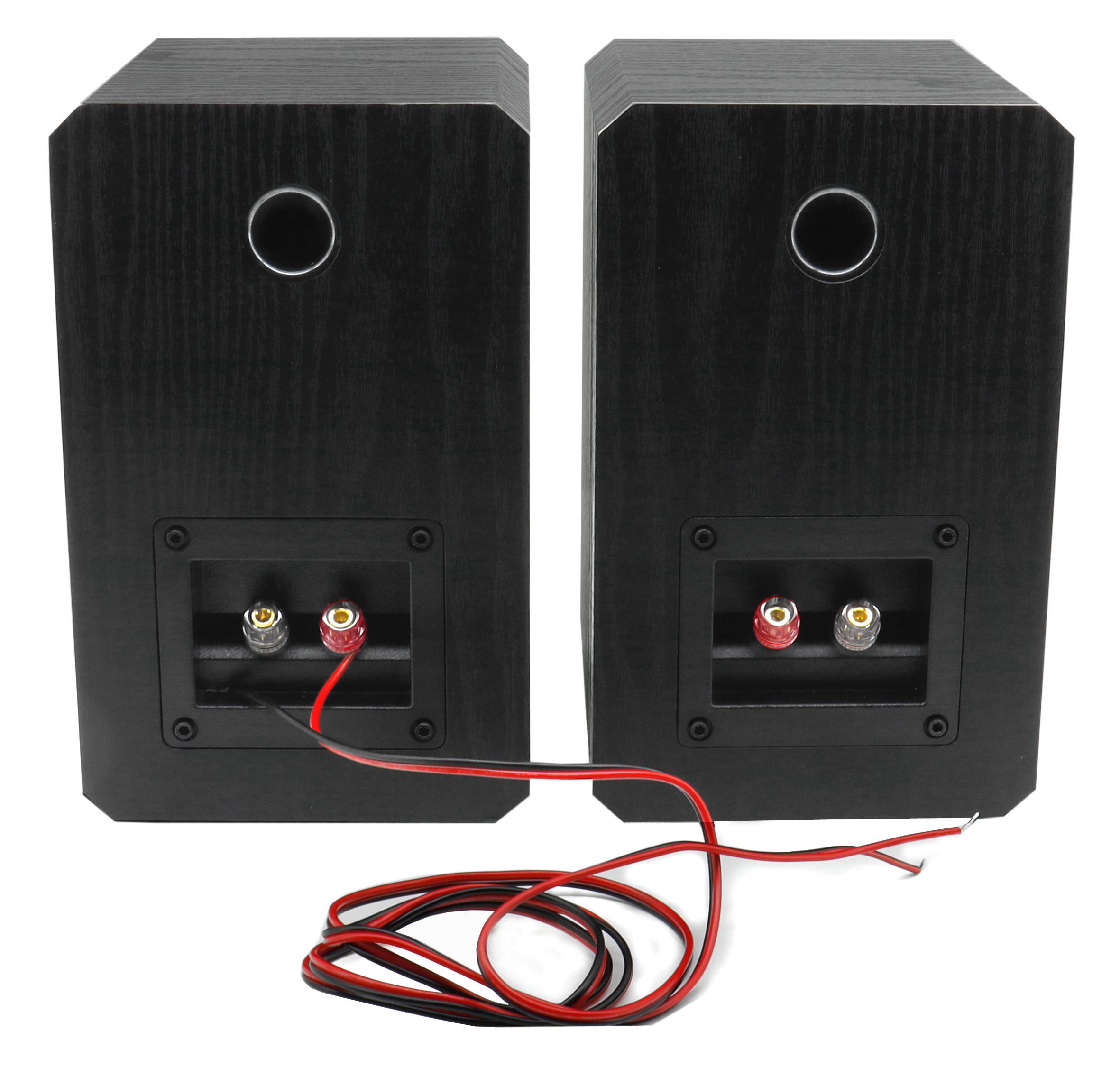 2 x 50 W Bookshelf speaker